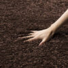 Brown 5