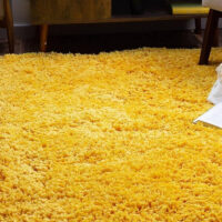 SHAG WEAVING CARPET® Round Shape Micro Polyester Yarn Super Soft Fluffy Area Rug Handmade 2.5 Inches (Thickness,Pile) - Yellow