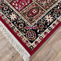 TTC THREAD & TEXTURE CARPET™ Traditional Comfort Power Loomed Carpets for Every Space Area Rug Pile Height 0.5 Inches - Red